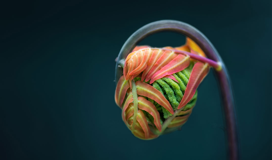 lente doet iets met mensen