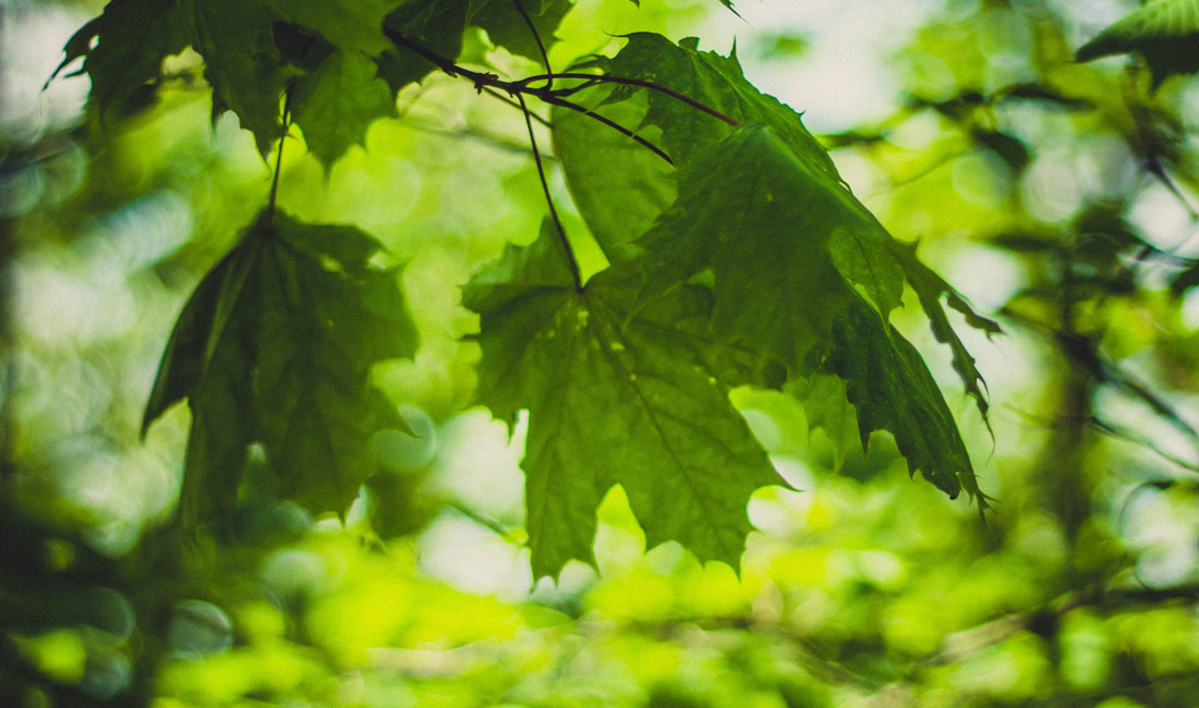 lente doet iets met mensen