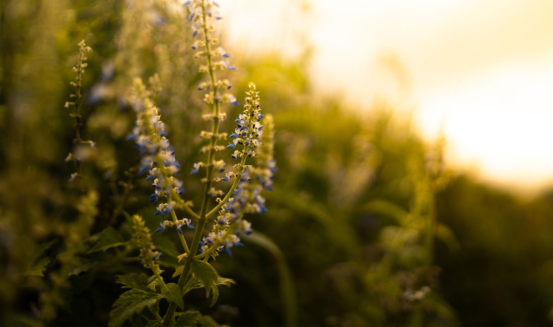 lente doet iets met mensen